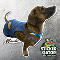 Custom Dog and Pet Stickers –  Upload your pet to get started