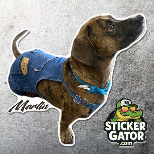 Custom Dog and Pet Stickers –  Upload your pet to get started