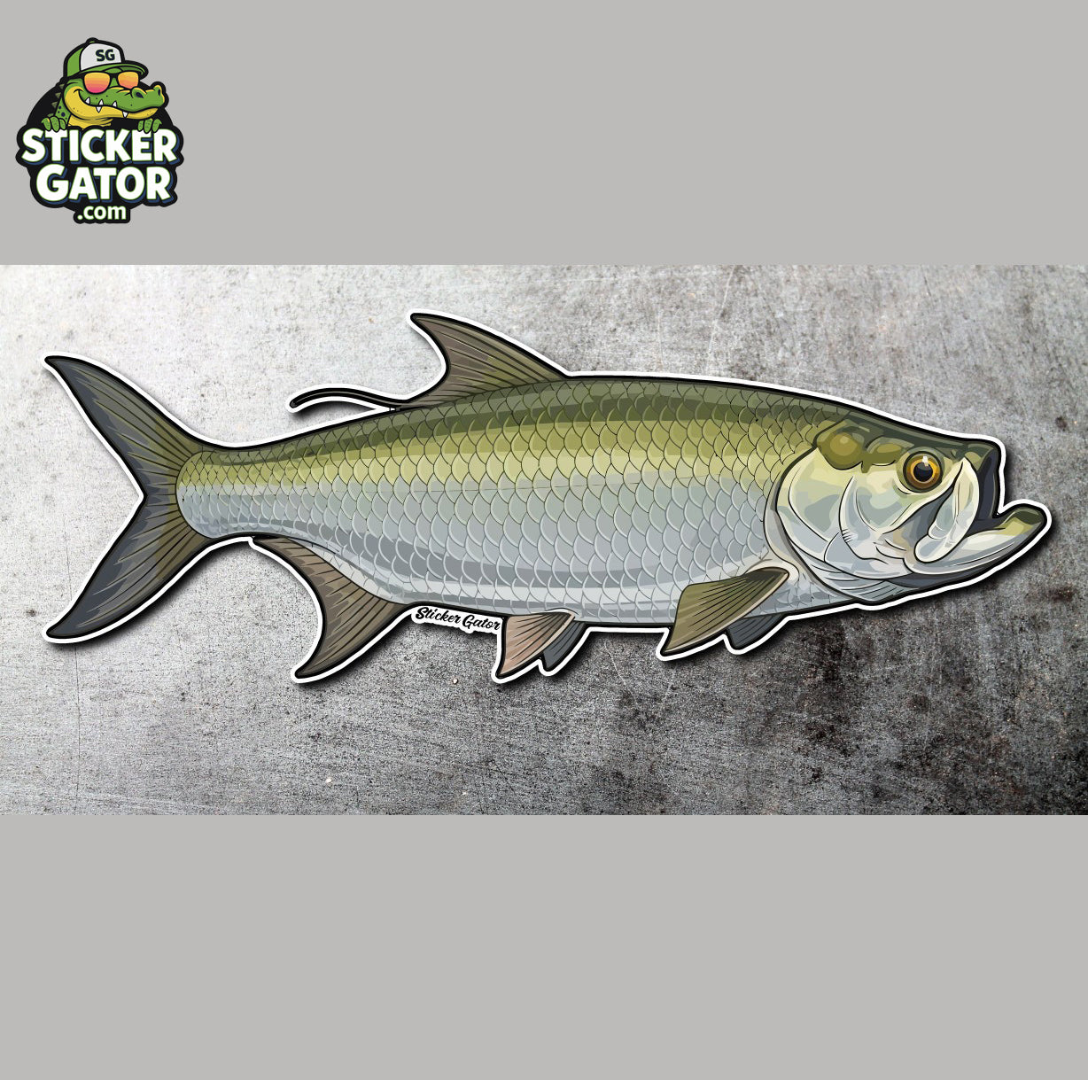 Premium Tarpon Fishing Decal – Thick Waterproof Vinyl Sticker by Sticker Gator
